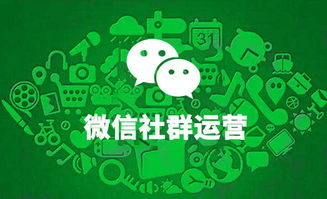 餐飲品牌突圍 從營(yíng)銷策劃到業(yè)績(jī)提升的全面指南